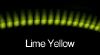 lime-yellow