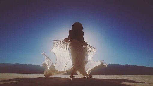 Moonflower Silk Veil Fans - Image 12
