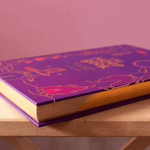 The Hoop Book - Image 12