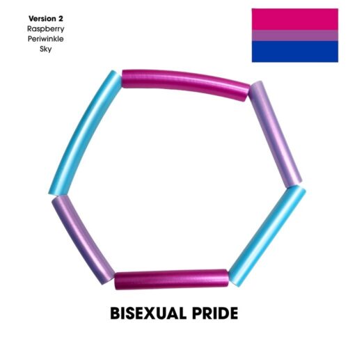 Pride Sectional Polypro Hoop - Image 14