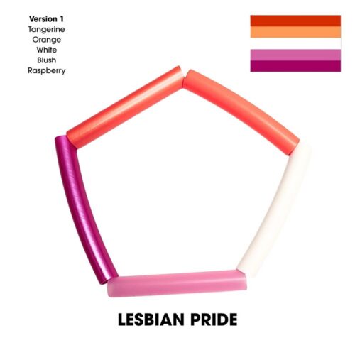 Pride Sectional Polypro Hoop - Image 30